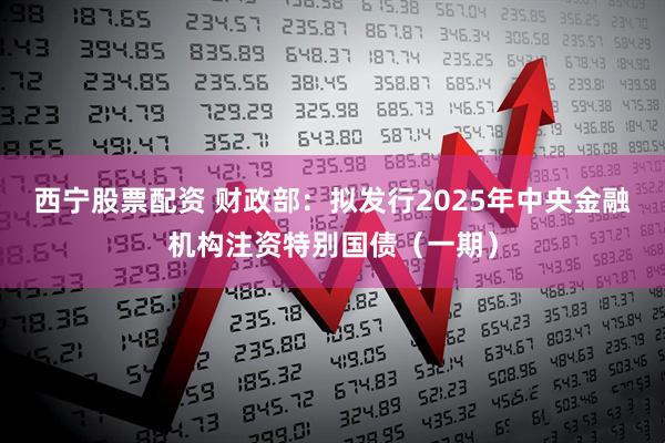 西宁股票配资 财政部：拟发行2025年中央金融机构注资特别国债（一期）